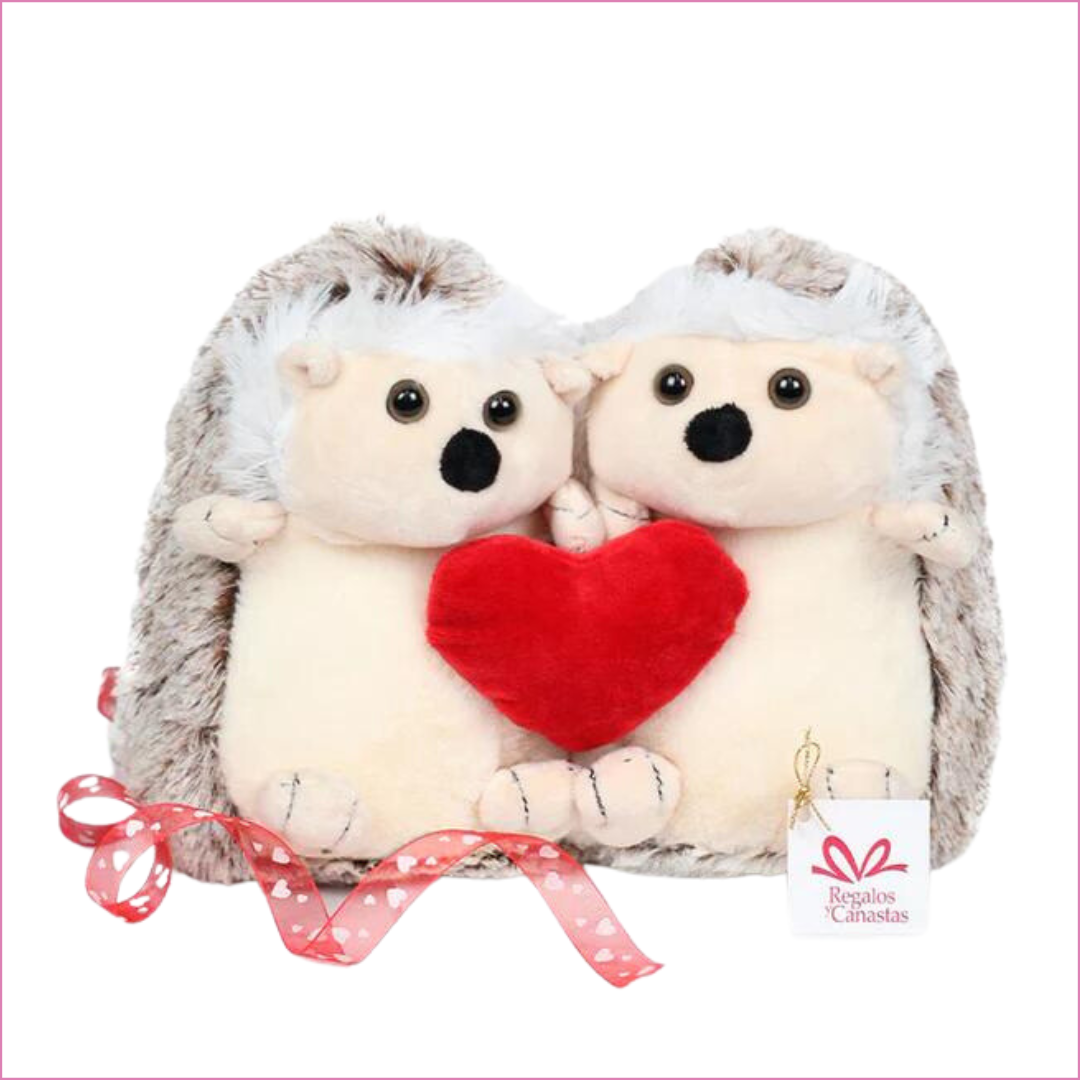 Porcupine In Love