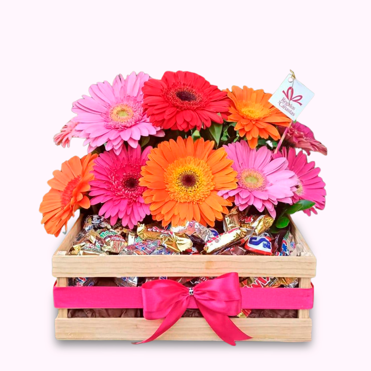 Huacalito Gerberas y Chocolate