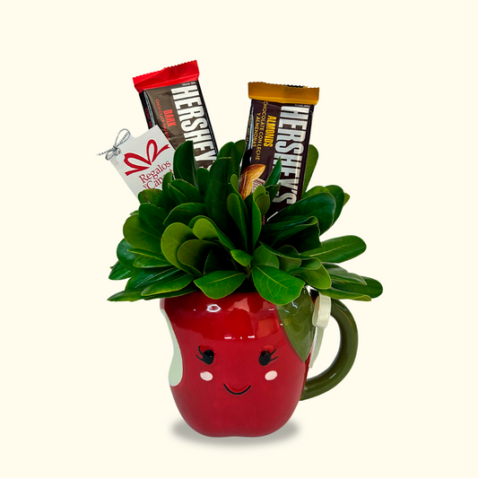 Taza de Manzana